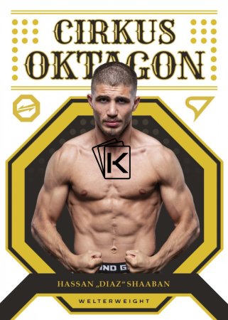 2022 Sprotzoo Oktagon MMA Cirkus Oktagon CO-21 Hassan Shaban