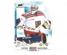 Hokejová kartička Czech Ice Hockey Team 3. Patrik Bartošák