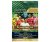 Panini Adrenalyn XL FIFA 365 2021 Update Sterterpack