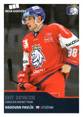 2019-20 Czech Ice Hockey Team  25 Radovan Pavlík