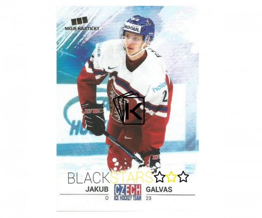 Hokejová kartička Czech Ice Hockey Team 9. Jakub Galvas