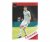 Fotbalová kartička Panini Donruss Soccer 2018-19  - Robert Lewandowski - 17 Bayern Munich