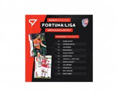 2020-21 SportZoo Fortuna Liga Týmový set FK Pardubice