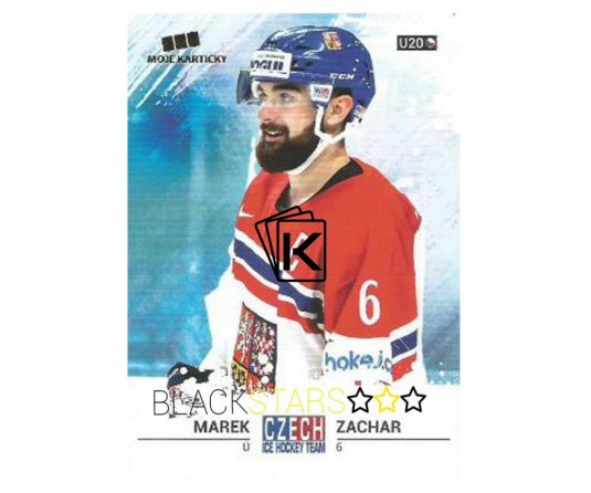 Hokejová kartička Czech Ice Hockey Team 43. Marek Zachar