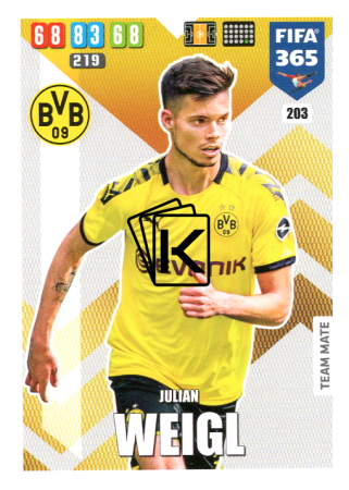 Fotbalová kartička Panini Adrenalyn XL FIFA 365 - 2020 Team Mate 203 Julian Weigl Borussia Dortmund
