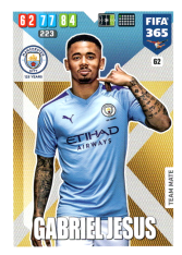 Fotbalová kartička Panini Adrenalyn XL FIFA 365 - 2020 Team Mate 62 Gabriel Jesus Manchester City