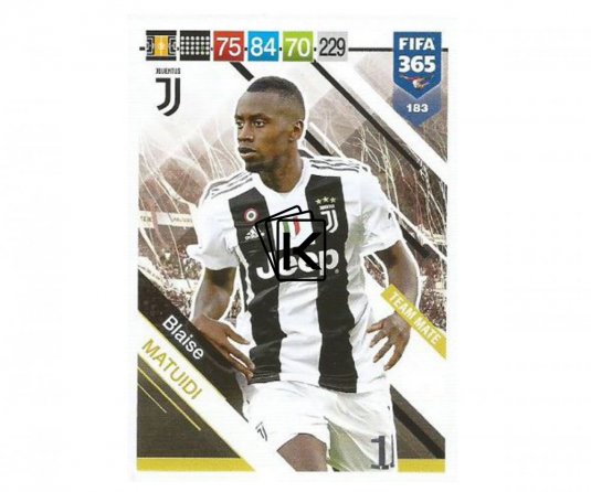 Fotbalová kartička Panini FIFA 365 – 2019 Team Mate 183 Blaise Matuidi Juventus