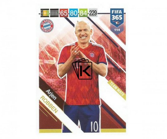 Fotbalová kartička Panini FIFA 365 – 2019 Team Mate 114 Arjen Robben FC Bayern Munchen