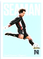 2017 Panini Nobility 27 David Seaman - England