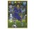 Fotbalová kartička Panini FIFA 365 – 2020 FANS FAVOURITE  12 Willian Chelsea FC