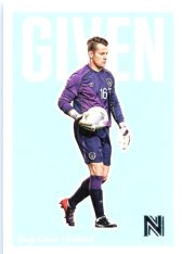 2017 Panini Nobility 13 Shay Given - Ireland