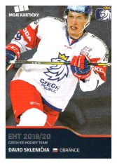 2019-20 Czech Ice Hockey Team  34 David Sklenička